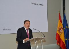 España activa su escudo sanitario y económico ante la Peste Porcina Africana