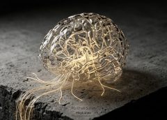 El cerebro no se desgasta: se programa — La nueva hipótesis invisible que conecta hábitos diarios con enfermedades específicas